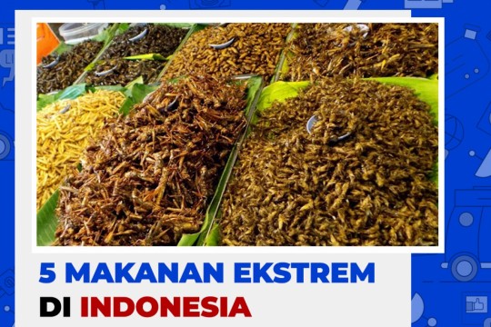 5 Makanan Ekstrem Di Indonesia