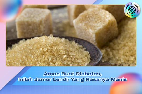 Aman Buat Diabetes, Inilah Jamur Lendir Yang Rasanya Manis