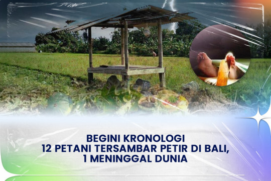 Begini Kronologi 12 Petani Tersambar Petir Di Bali, 1 Meninggal Dunia