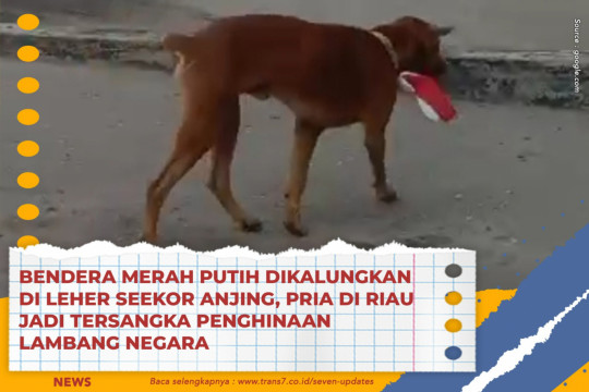 Bendera Merah Putih Dikalungkan Di Leher Seekor Anjing, Pria Di Riau Jadi Tersangka Penghinaan Lambang Negara