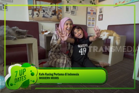 Bermain Di Kafe Kucing Pertama Di Indonesia