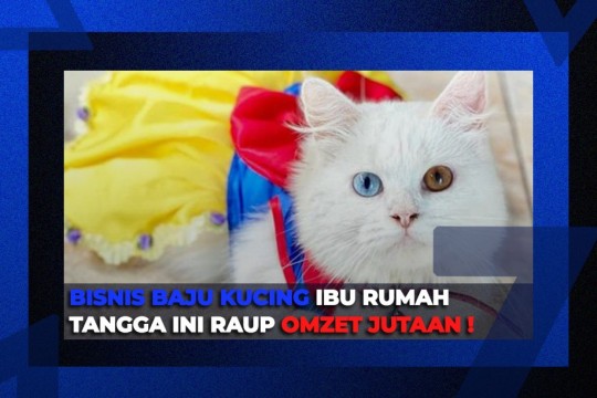 Bisnis Baju Kucing, Ibu Rumah Tangga Ini Raup Omzet Jutaan!