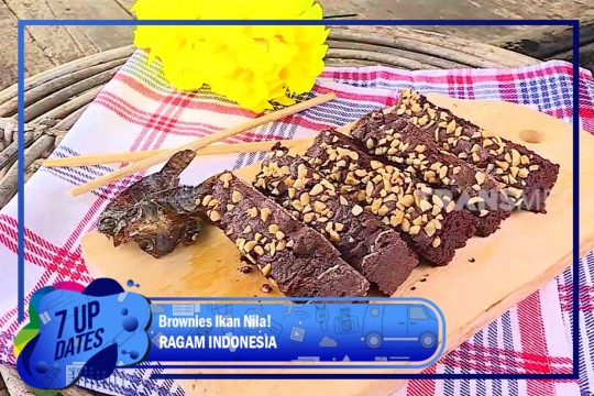 Brownies Ikan Nila!