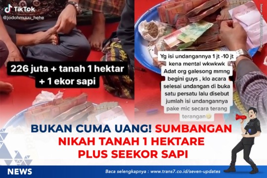 Bukan Cuma Uang! Sumbangan Nikah Tanah 1 Hektar Plus Seekor Sapi