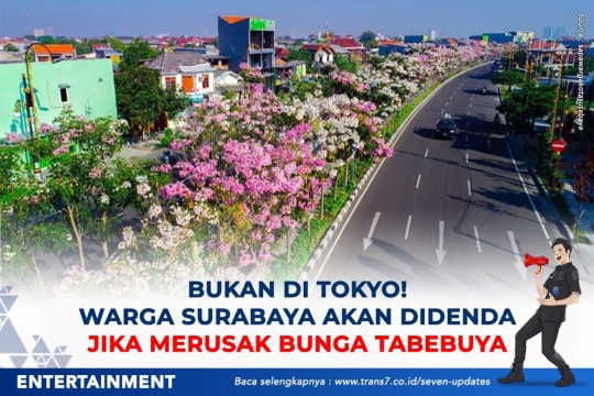 Bukan Di Tokyo! Warga Surabaya Akan Didenda Merusak Bunga Tabebuya