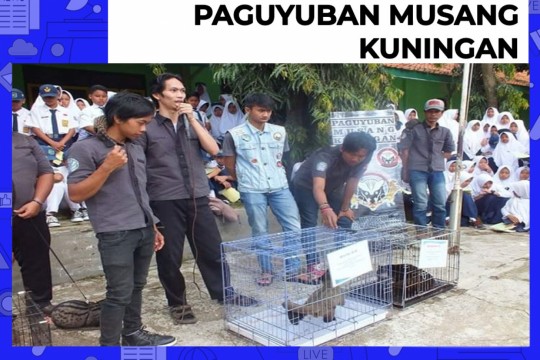 Community Corner - Paguyuban Musang Kuningan