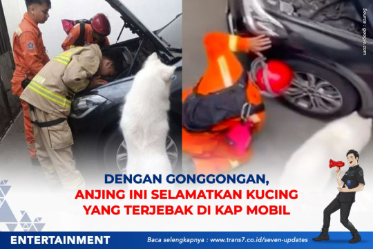 Dengan Gonggong, Anjing Ini Selamatkan Kucing Yang Terjebak Di Kap Mobil