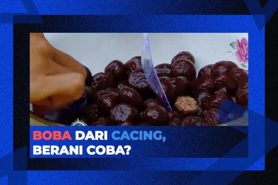 Dessert Boba Dari Cacing, Berani Coba?