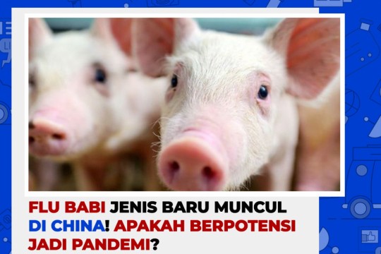 Flu Babi Jenis Baru Muncul Di China! Apakah Berpotensi Jadi Pandemi?