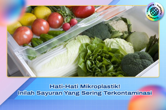Hati-Hati Mikroplastik! Inilah Sayuran Yang Sering Terkontaminasi