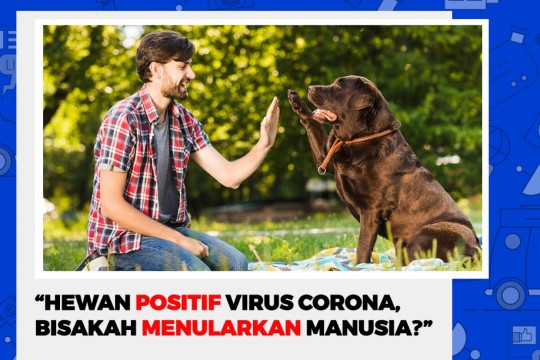 Hewan Positif Virus Corona, Bisakah Menularkan Ke Manusia?