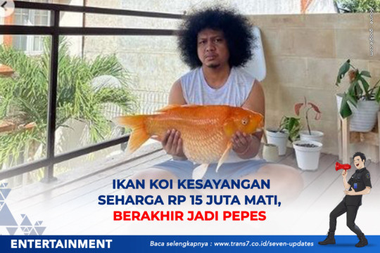 Ikan Koi Kesayangan Seharga Rp 15 Juta Mati, Berakhir Jadi Pepes