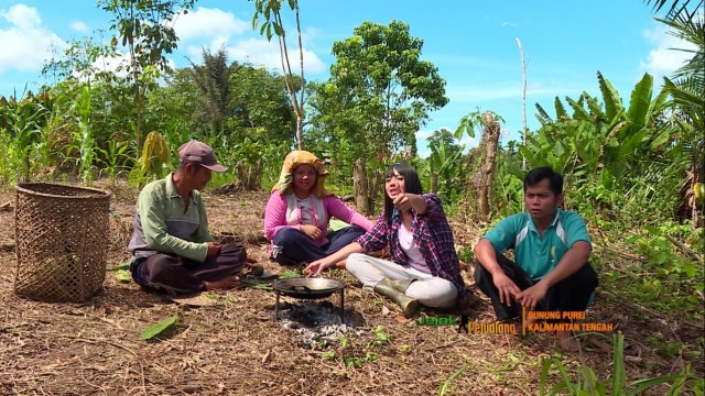 JP Dan Suku Dayak Taboyan