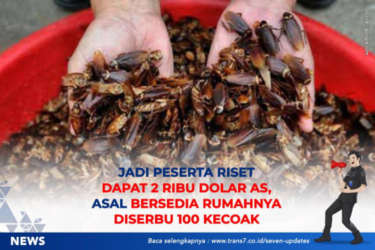 Jadi Peserta Riset Dapat 2 Ribu Dolar AS, Asal Bersedia Rumahnya Diserbu 100 Kecoak