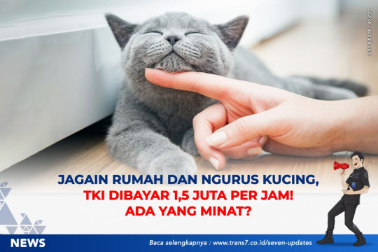Jagain Rumah Dan Ngurus Kucing, TKI Dibayar 1,5 Juta Per Jam. Ada Yang Minat?