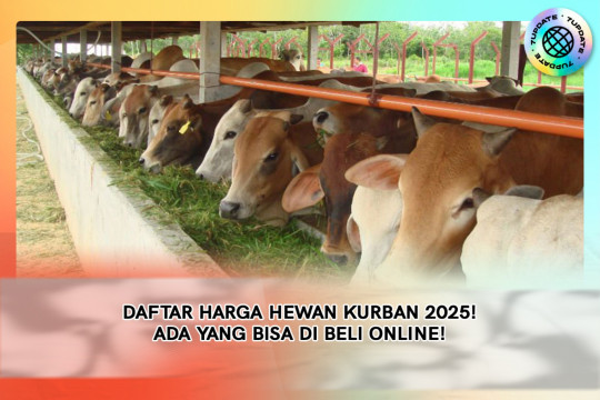 Jelang Idul Adha 2025! Harga Hewan Kurban Melonjak Naik