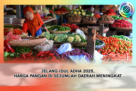 Jelang Idul Adha 2025, Harga Pangan Di Sejumlah Daerah Meningkat