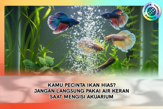 Kamu Pecinta Ikan Hias? Jangan Langsung Pakai Air Keran Saat Mengisi Akuarium