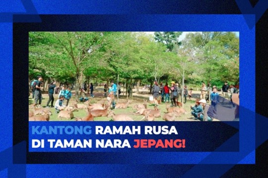 Kantong Ramah Rusa Di Taman Nara Jepang