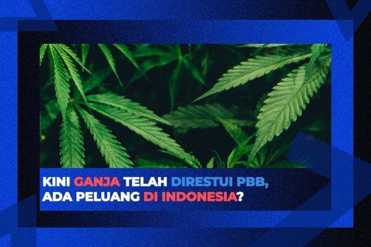 Kini Ganja Telah Direstui PBB, Ada Peluang Di Indonesia?