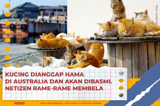 Kucing Dianggap Hama Di Australia Dan Akan Dibasmi. Netizen Rame-Rame Membela