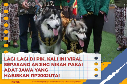 Lagi-Lagi Di PIK, Kali Ini Viral Sepasang Anjing Nikah Pakai Adat Jawa Yang Habiskan Rp200Juta!