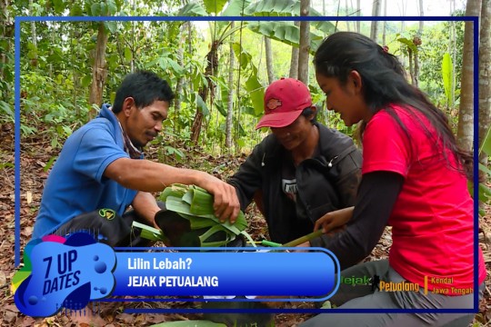 Lilin Dari Lebah?
