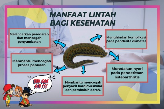 Manfaat Lintah Bagi Kesehatan