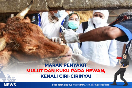 Marak Penyakit Mulut Dan Kuku Pada Hewan, Kenali Ciri-Cirinya!