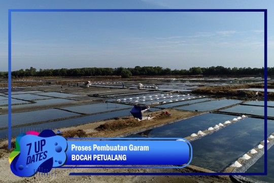 Mengintip Proses Pembuatan Garam