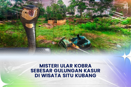 Misteri Ular Kobra Sebesar Gulungan Kasur Di Wisata Situ Kubang