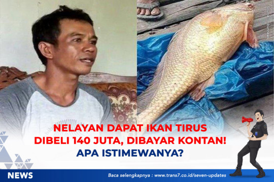 Nelayan Dapat Ikan Tirus Dibeli Rp 140 Juta, Dibayar Kontan. Apa Istimewanya?