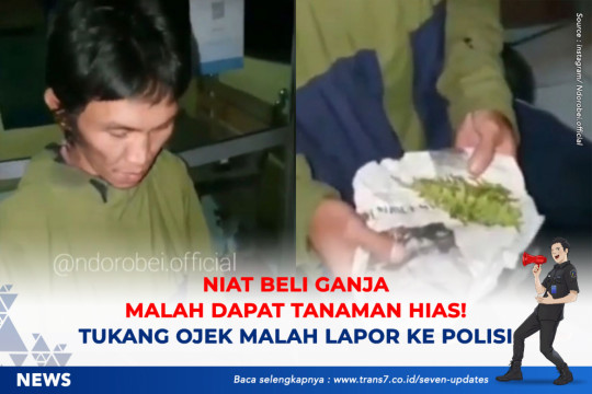 Niat Beli Ganja Malah Dapat Tanaman Hias, Tukang Ojek Ini Malah Lapor Ke Polisi