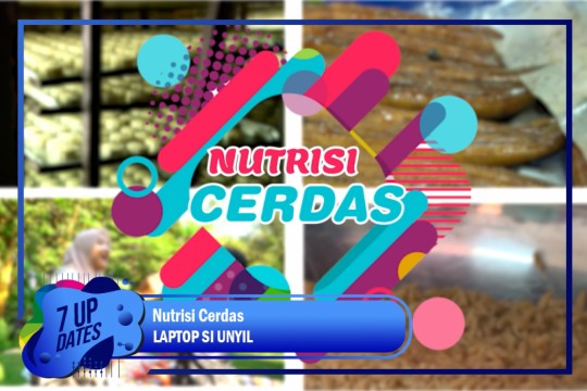 Nutrisi Cerdas