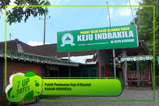 Pabrik Pembuatan Keju Di Boyolali