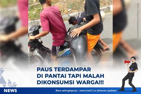 Paus Terdampar Di Pantai Tapi Malah Dikonsumsi Warga!!!