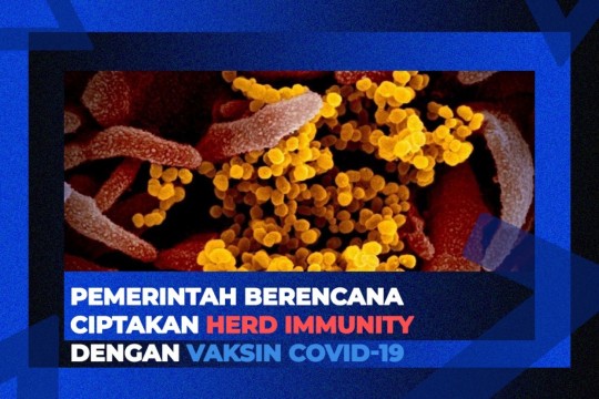 Pemerintah Berencana Ciptakan Herd Immunity Dengan Vaksin Covid-19