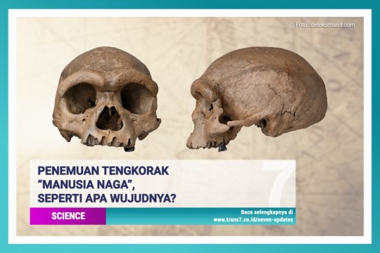 Penemuan Tengkorak 'Manusia Naga', Seperti Apa Wujudnya?