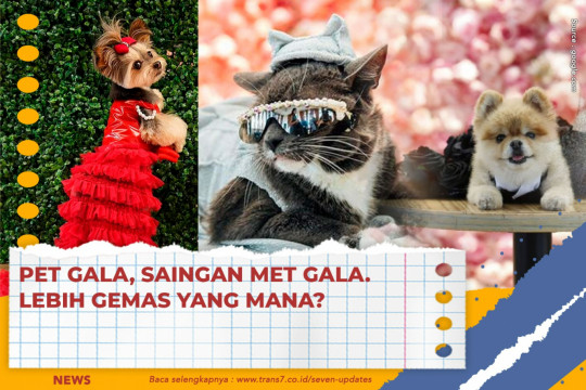 Pet Gala, Saingan Met Gala. Lebih Gemas Yang Mana?