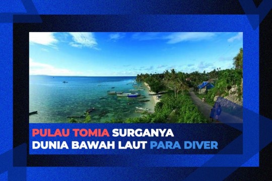 Pulau Tomia Surganya Dunia Bawah Laut Para Diver