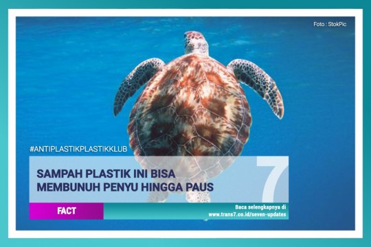 Sampah Plastik Ini Bisa Bunuh Penyu Hingga Paus