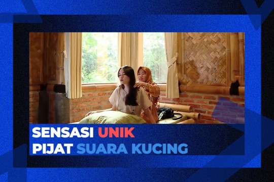 Sensasi Unik Pijat Suara Kucing