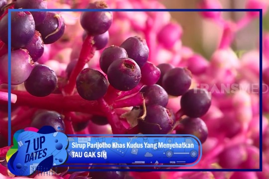 Sirup Parijotho Khas Kudus Yang Menyehatkan