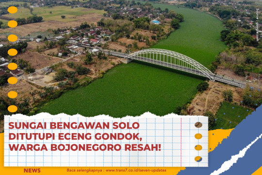 Sungai Bengawan Solo Ditutupi Eceng Gondok, Warga Bojonegoro Resah!