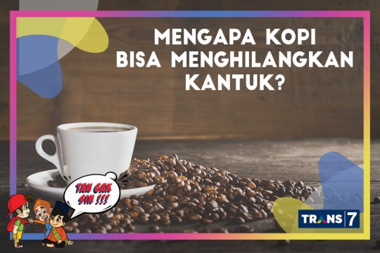 TAU GAK SIH - Mengapa Kopi Bisa Membuat Kantuk Hilang?