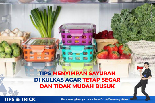 Tips Menyimpan Sayuran Di Kulkas Agar Tetap Segar Dan Tidak Mudah Busuk