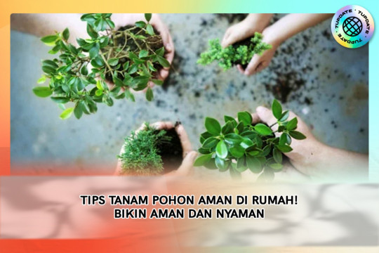 Tips Tanam Pohon Aman Di Rumah! Bikin Aman Dan Nyaman