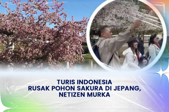 Turis Indonesia Rusak Pohon Sakura di Jepang, Netizen Murka