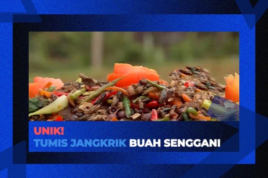 Unik! Tumis Jangkrik Buah Senggani