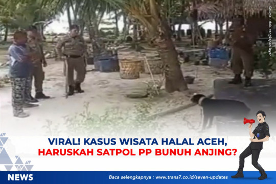 Viral! Kasus Wisata Halal Aceh, Haruskah Satpol PP Bunuh Anjing?
